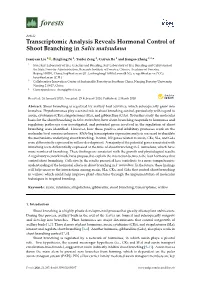 Transcriptomic Analysis Reveals Hormonal Control of Shoot Branching in Salix Matsudana