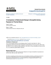 A Comparison of Behavioural Change in Drosophila During Exposure to Thermal Stress