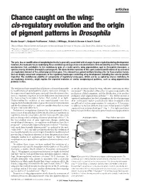 Cis-Regulatory Evolution and the Origin of Pigment Patterns in Drosophila