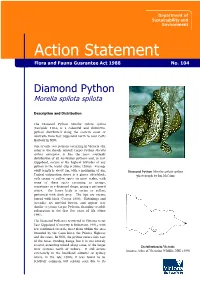 Diamond Python Morelia Spilota Spilota
