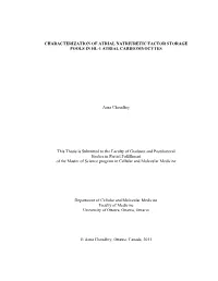 Final Thesis Copy July 2011