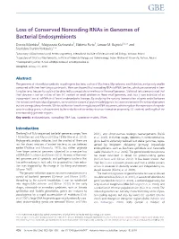 Loss of Conserved Noncoding Rnas in Genomes of Bacterial Endosymbionts