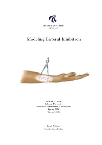 Modeling Lateral Inhibition