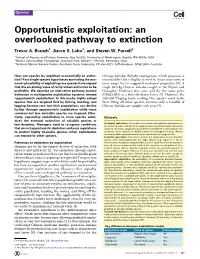 Opportunistic Exploitation: An
