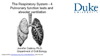 The Respiratory System - 4 Pulmonary Function Tests and Alveolar Ventilation