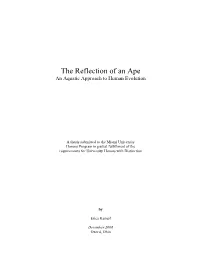 The Reflection of an Ape an Aquatic Approach to Human Evolution