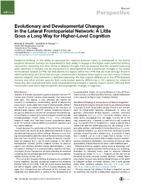 Evolutionary and Developmental Changes in the Lateral Frontoparietal Network: a Little Goes a Long Way for Higher-Level Cognition