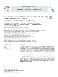 The Contribution of Mitochondrial Metagenomics to Large-Scale Data