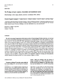 The P2 Phage Old Gene: Sequence, Transcription and Translational Control