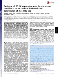 Exclusion of Dlx5/6 Expression from the Distal-Most Mandibular Arches Enables BMP-Mediated Specification of the Distal Cap