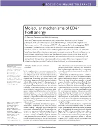 Molecular Mechanisms of CD4+ T-Cell Anergy