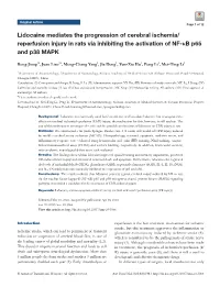Reperfusion Injury in Rats Via Inhibiting the Activation of NF-Κb P65 and P38 MAPK