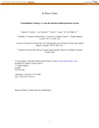 An Inferior Medial Localisation for Confabulation