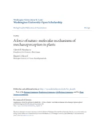 Molecular Mechanisms of Mechanoperception in Plants Gabriele B