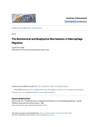 The Biochemical and Biophysical Mechanisms of Macrophage Migration