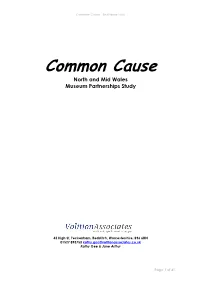 Common Cause - Final Report.Doc