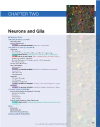 Neurons and Glia
