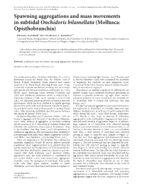 Spawning Aggregations and Mass Movements in Subtidal Onchidoris Bilamellata (Mollusca: Opisthobranchia) Thomas Claverie1 and Nicholas A