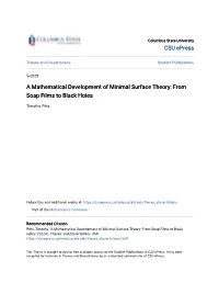 A Mathematical Development of Minimal Surface Theory: from Soap Films to Black Holes