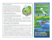 Guide to TN Watersheds