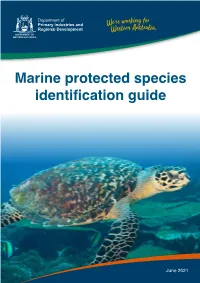 Marine Protected Species Identification Guide