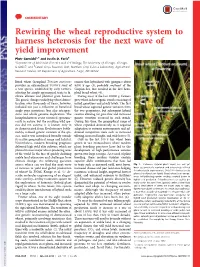 Rewiring the Wheat Reproductive System to Harness Heterosis for the Next Wave of Yield Improvement Piotr Gornickia,1 and Justin D