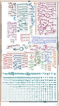 Generated by SRI International Pathway Tools Version 25.0, Authors S