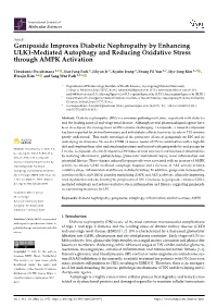 Geniposide Improves Diabetic Nephropathy by Enhancing ULK1-Mediated Autophagy and Reducing Oxidative Stress Through AMPK Activation