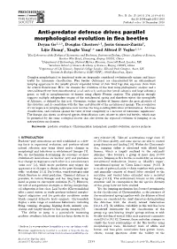 Anti-Predator Defence Drives Parallel Morphological Evolution in Flea