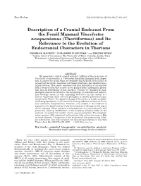 Description of a Cranial Endocast From