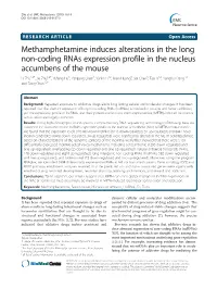 Methamphetamine Induces Alterations in the Long Non-Coding Rnas Expression Profile in the Nucleus Accumbens of the Mouse