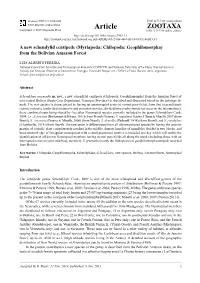 Myriapoda: Chilopoda: Geophilomorpha) from the Bolivian Amazon Forest