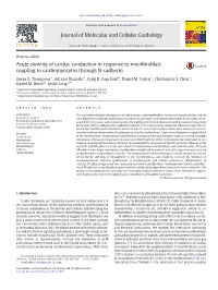 Acute Slowing of Cardiac Conduction in Response to Myofibroblast Coupling