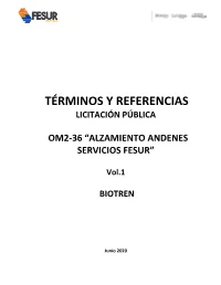 Alzamiento Andenes Servicios Fesur”