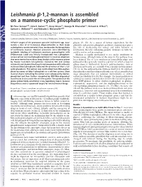 Leishmania -1,2-Mannan Is Assembled on a Mannose-Cyclic