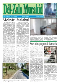 Molnári Átalakul