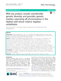 RNA-Seq Analysis Reveals Considerable Genetic Diversity And