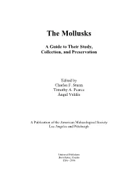 The Mollusks