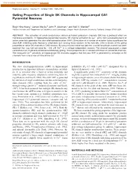 Gating Properties of Single SK Channels in Hippocampal CA1 Pyramidal Neurons
