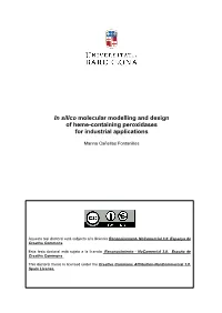 In Silico Molecular Modelling and Design of Heme-Containing Peroxidases for Industrial Applications