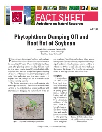Phytophthora Damping Off and Root Rot of Soybean Anne E