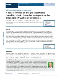 A Sense of Time of the Glucocorticoid Circadian Clock