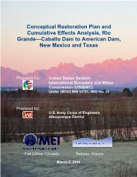 Final Conceptual Restoration Plan