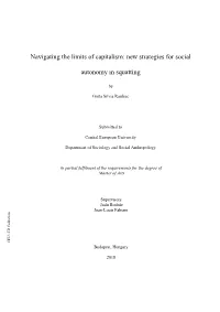 Navigating the Limits of Capitalism: New Strategies for Social