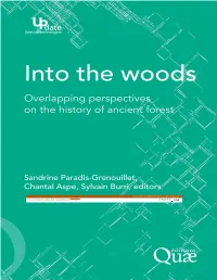 Overlapping Perspectives on the History of Ancient Forests