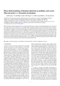 Phase Field Approach to Polycrystalline Solidification