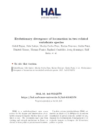 Evolutionary Divergence of Locomotion in Two Related Vertebrate Species