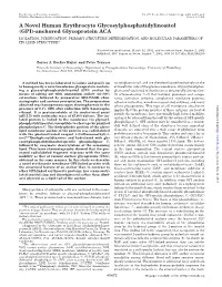 (GPI)-Anchored Glycoprotein ACA ISOLATION, PURIFICATION, PRIMARY STRUCTURE DETERMINATION, and MOLECULAR PARAMETERS of ITS LIPID STRUCTURE*