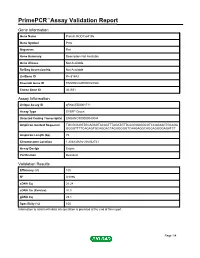 Primepcr™Assay Validation Report