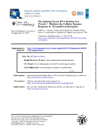 The Splicing Factor RNA-Binding Fox Protein 1 Mediates the Cellular Immune Response in Drosophila Melanogaster